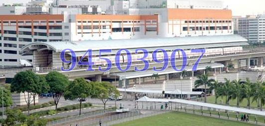Blk 369 Woodlands Avenue 1 (Woodlands), HDB 5 Rooms #104643822